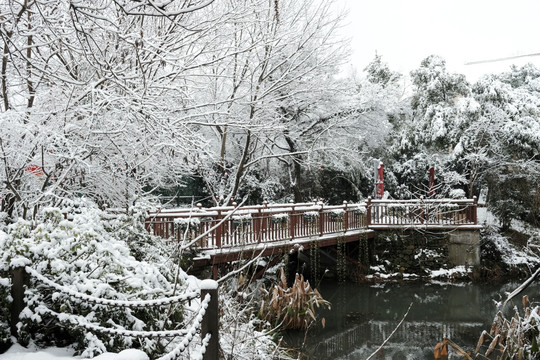 西溪初雪