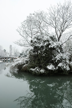 西溪初雪