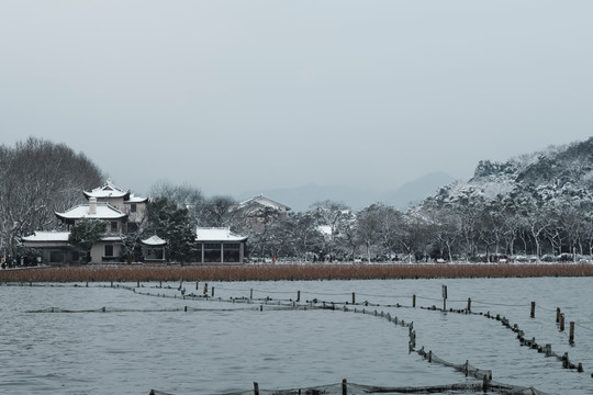 江南雪