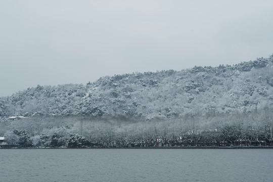 江南雪