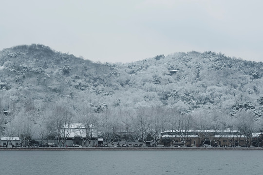 江南雪