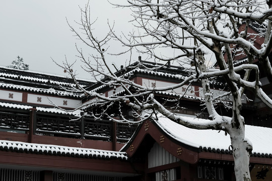 江南雪