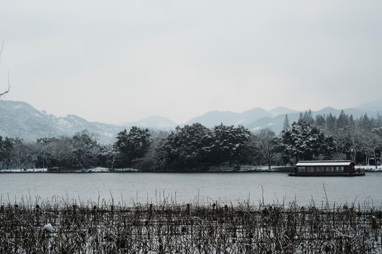 游西湖