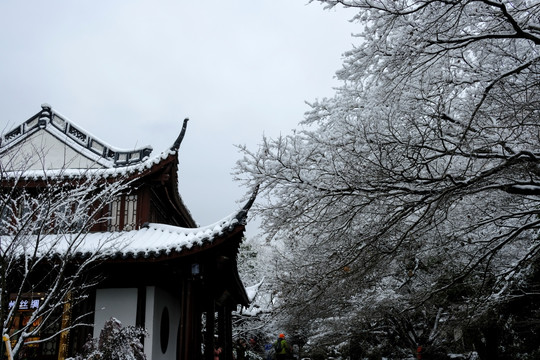 西湖飘雪