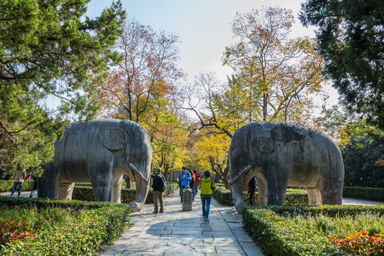 南京明孝陵