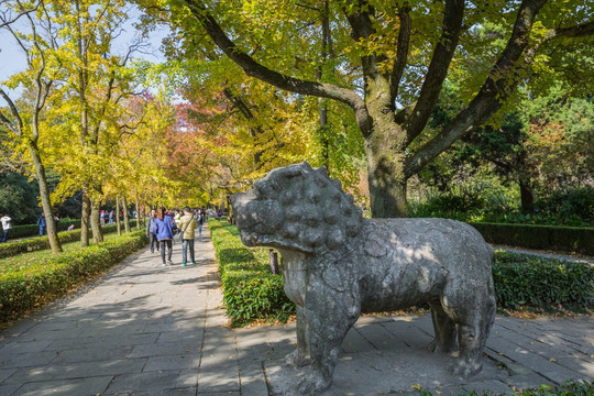 南京明孝陵