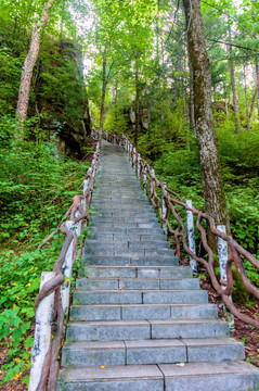 汤旺河林海奇石风景区