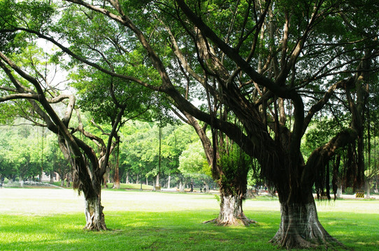 中山大学