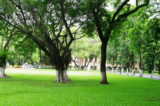 中山大学