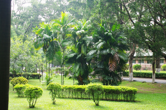 中山大学