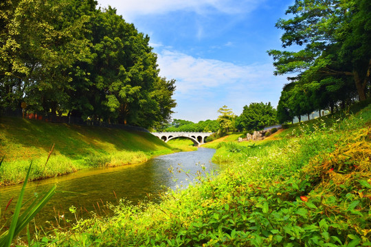 深圳福田河