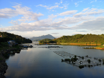 樟湖风光