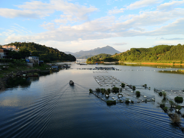 樟湖风光