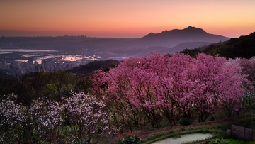 大气山景