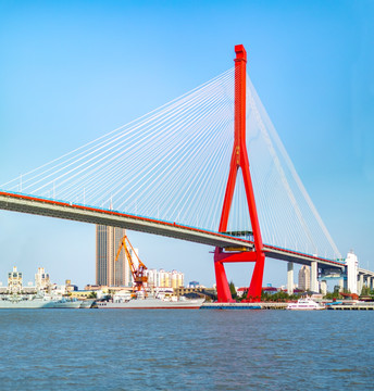 高清楊浦大橋