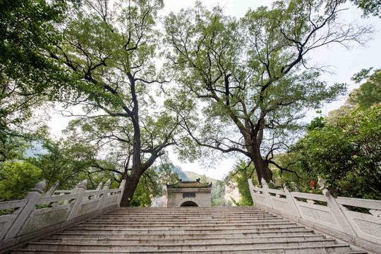 山东青州文殊寺