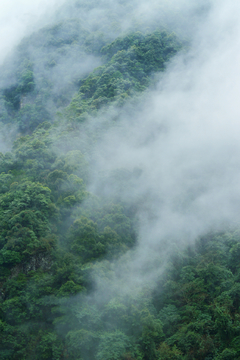 云雾深山