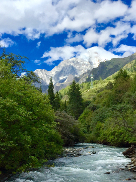 四姑娘山森林河流