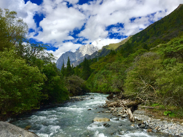 四姑娘山森林河流