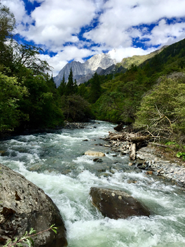 四姑娘山森林河流