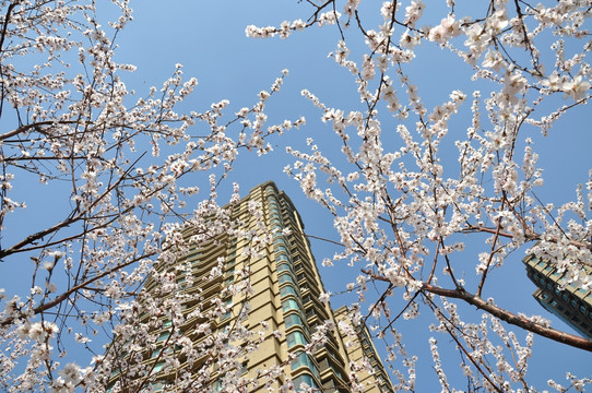 现代的居住小区