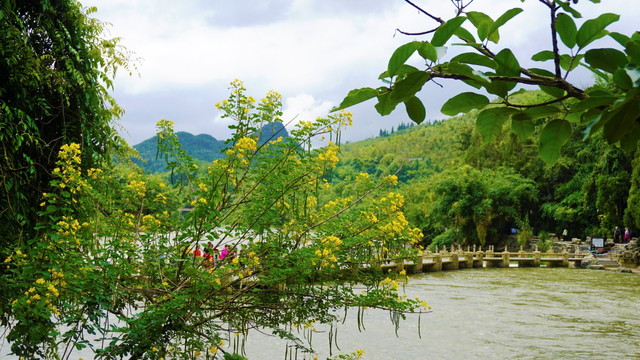 天星桥景区风光