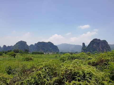 清远骆驼峰