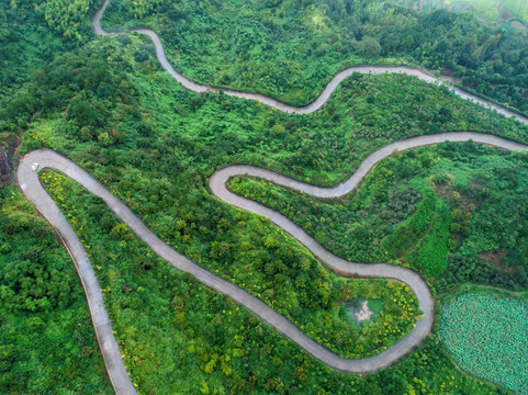 山路湾湾