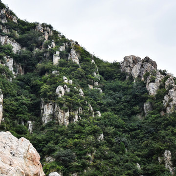 绿色山岭上的岩石