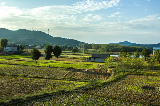 乡村田野