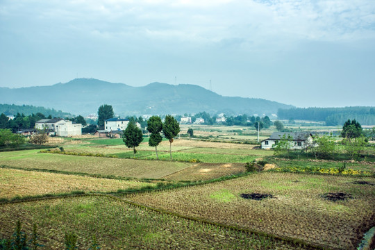 乡村田野