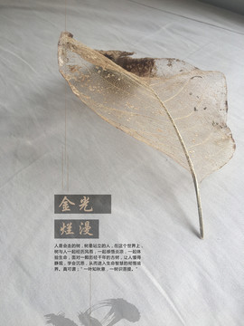 秋風(fēng)秋意