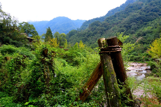 青城山五龙沟风光