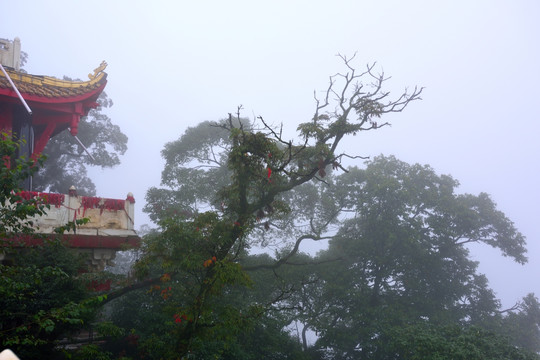 青城山老君阁斗拱