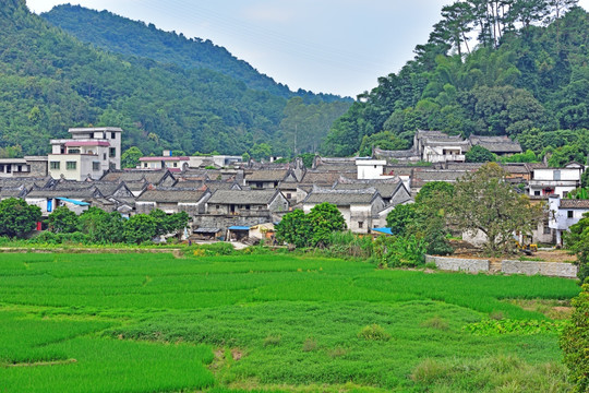 杨池古村全景