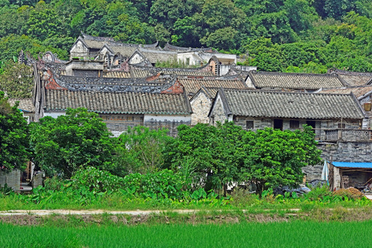 岭南粤式建筑杨池古村