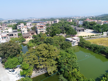 鳌头镇风景