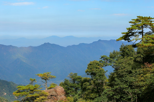 山景