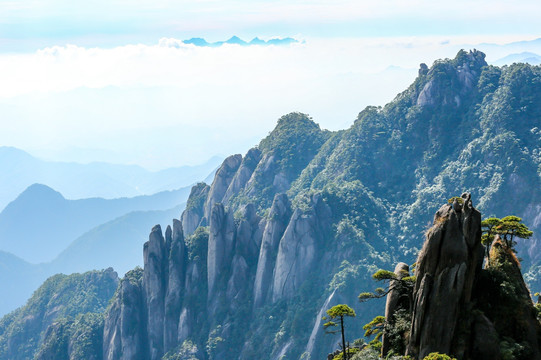 唯美风景