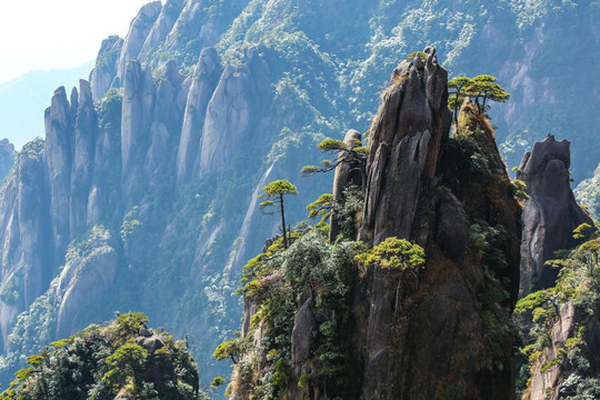 唯美风景