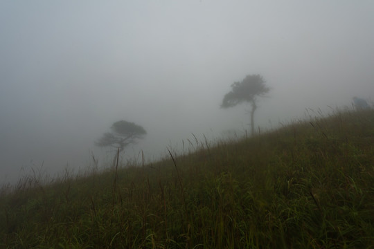 江西武功山风景134