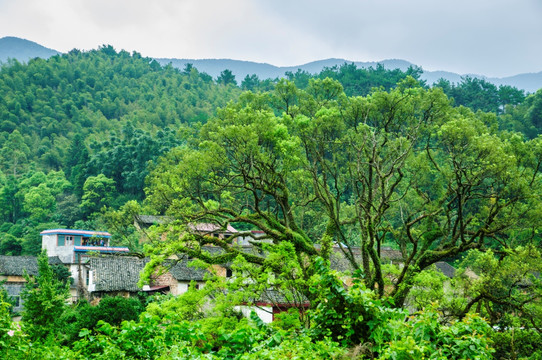 山林风光