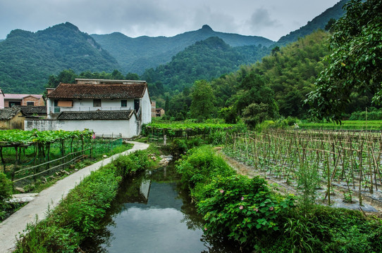 山村风光