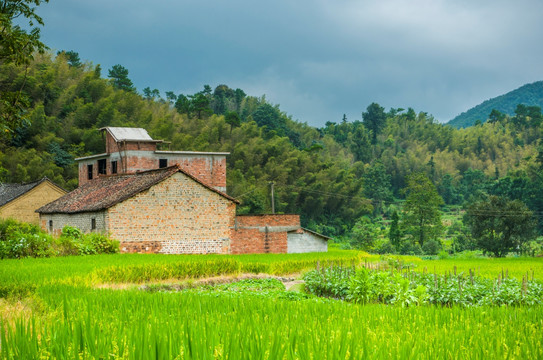 山岭风光