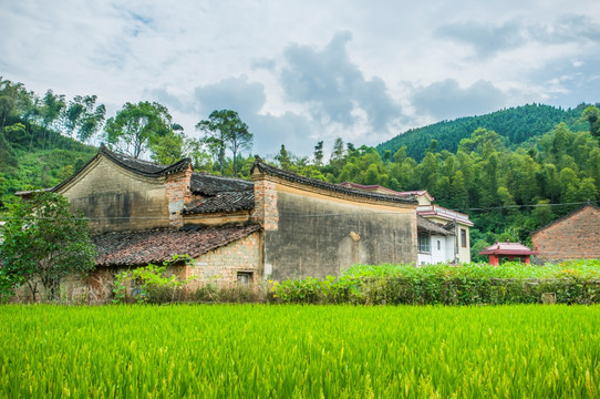 山村风光