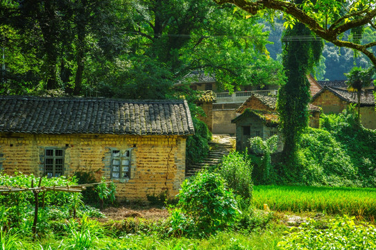 山林与小屋