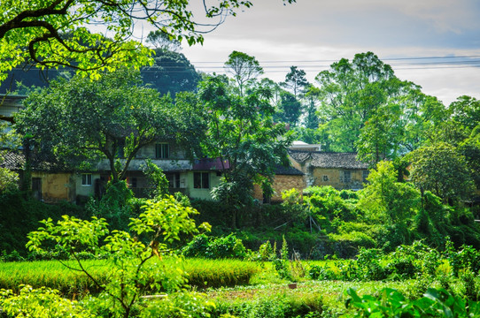 山林小屋