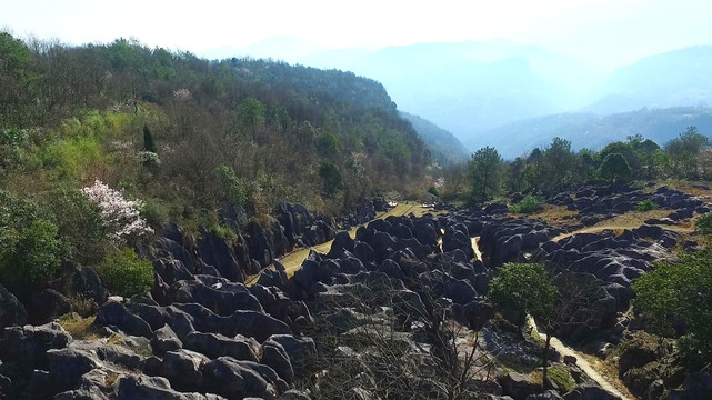 奥陶纪石林