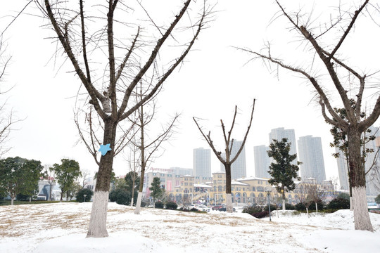 街道雪景