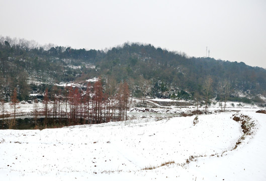 乡村雪景